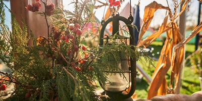Fall Festival in the Park