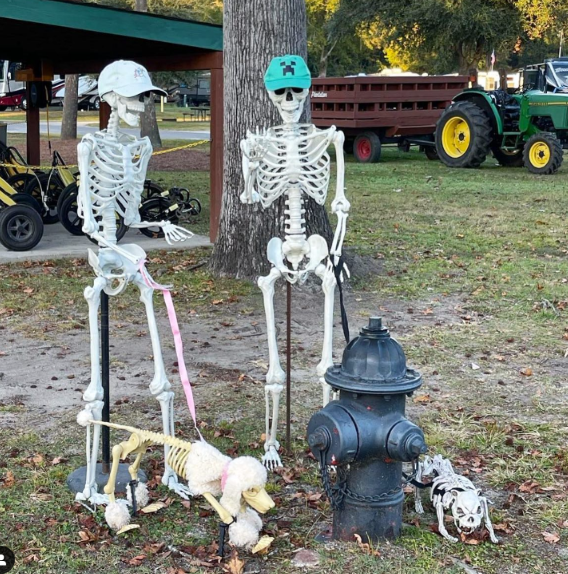 Halloween in the Park Photo