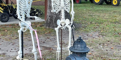 Halloween in the Park