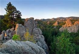 Black Hills National Forest