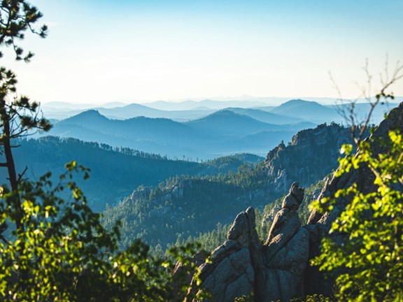 Black Hills National Forest