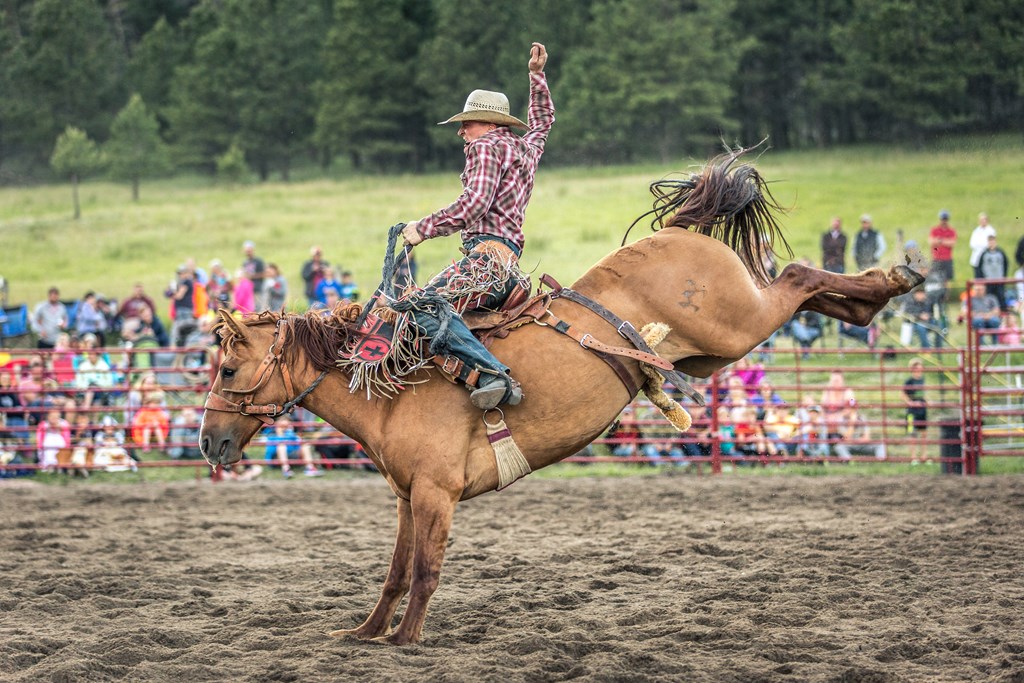 Mt Rushmore Rodeo