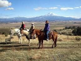 Horeseback Riding / Hay Rides