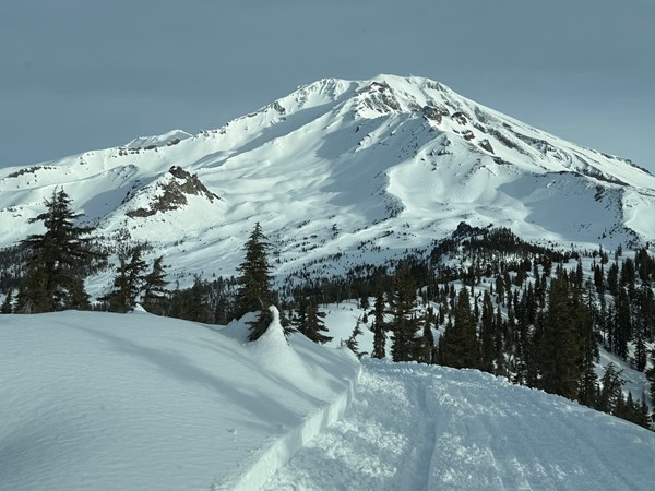 Mount Shasta City KOA Holiday