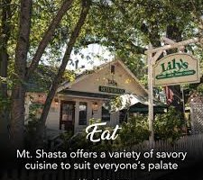 Savor the Summit: A Local's Guide to Dining in Mt. Shasta