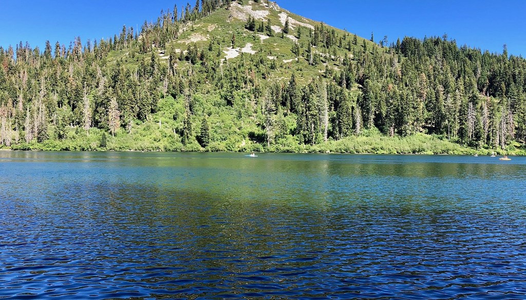 Angler's Paradise: Mt. Shasta's Best Fishing Spots