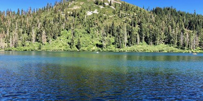 Angler's Paradise: Mt. Shasta's Best Fishing Spots