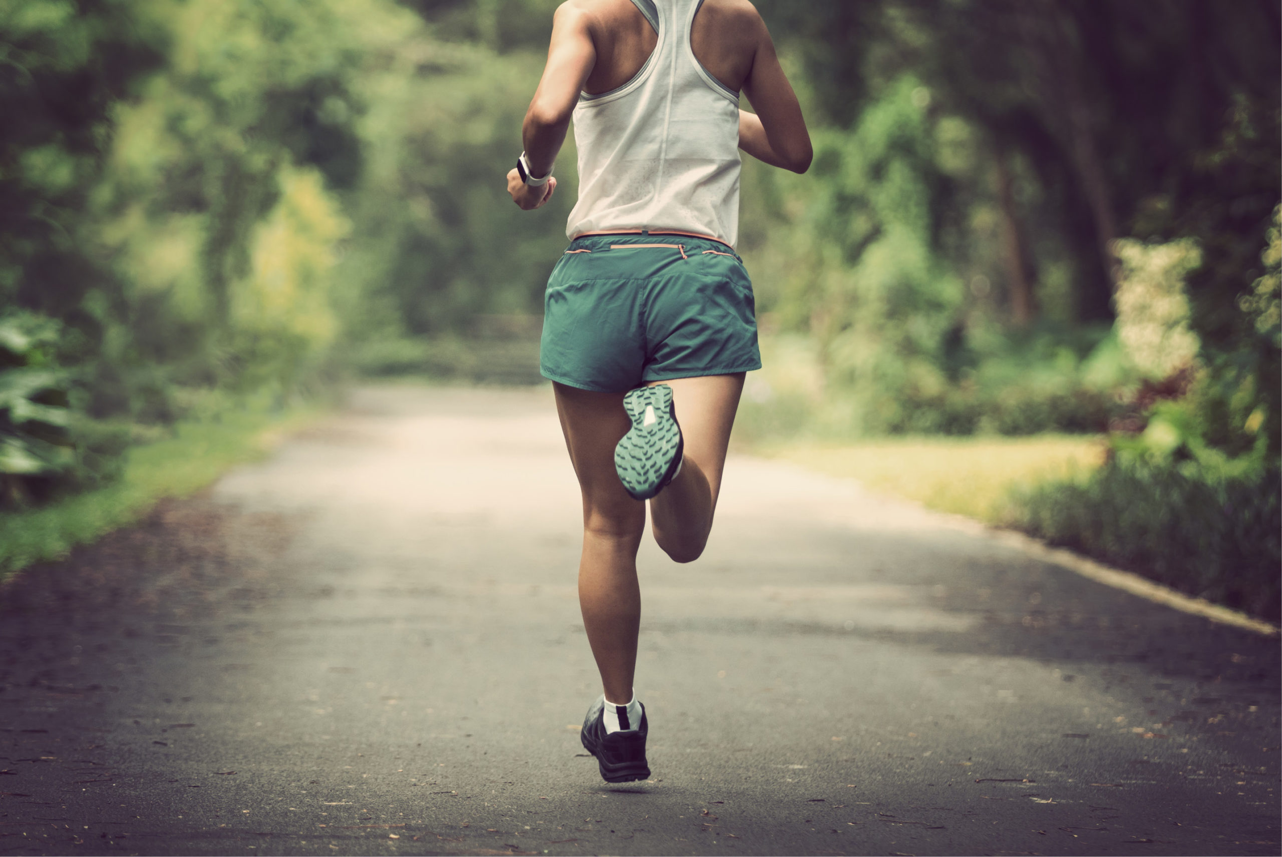 LEMURIAN TRAIL RUN Photo