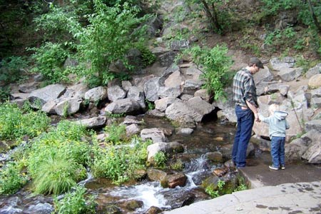 Mt. Shasta City Park Headwaters & Spring Photo