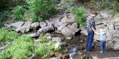 Mt. Shasta City Park Headwaters & Spring