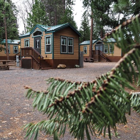 Mount Shasta City KOA Holiday