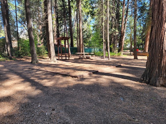 Welcome to the Mount Shasta City KOA Holiday