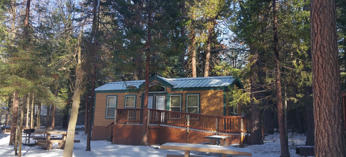 Mt Shasta California Lodging Mount Shasta City Koa
