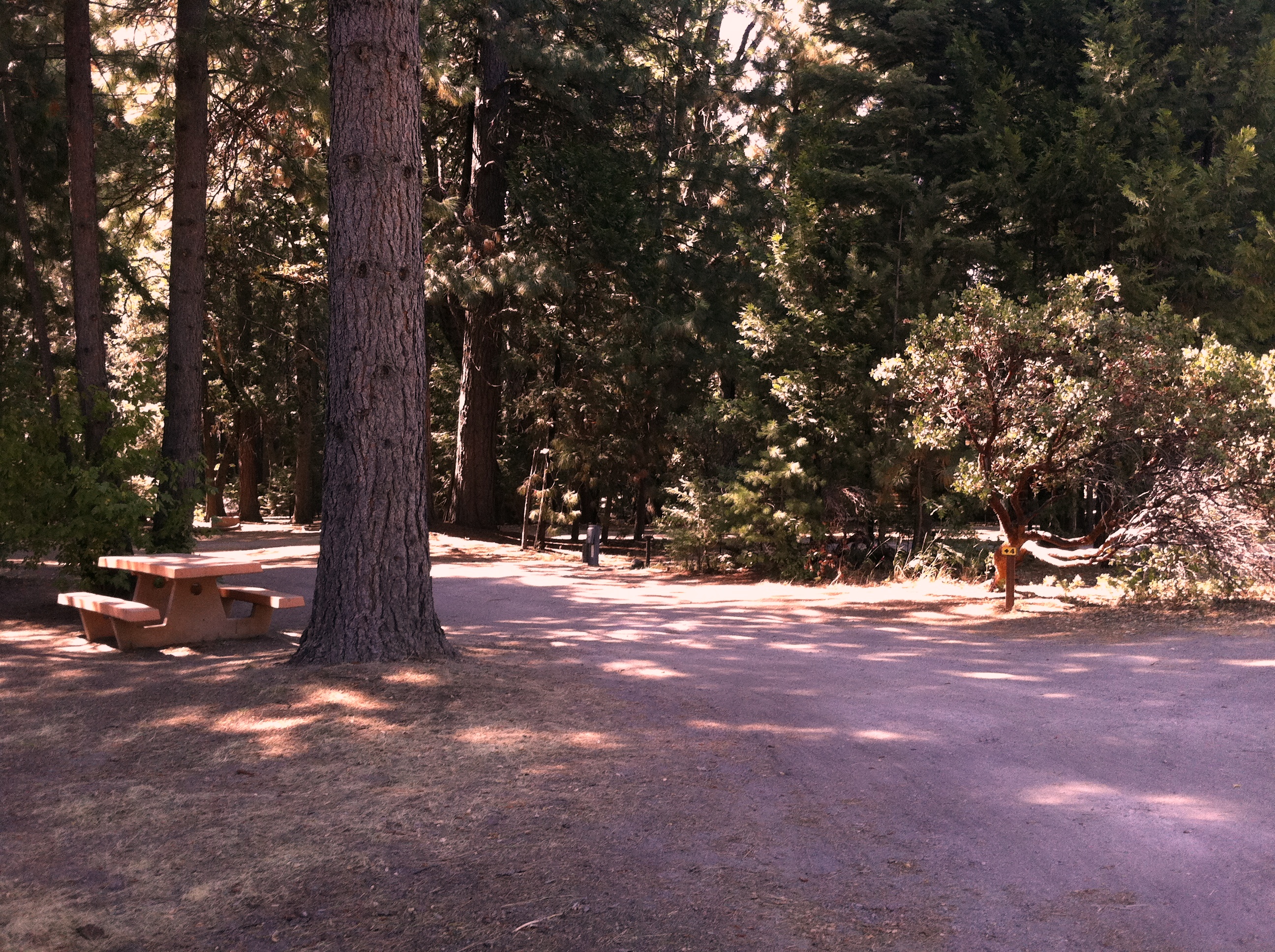 Mt Shasta, California RV Camping Sites Mount Shasta City KOA