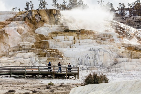 Mammoth Hot Springs