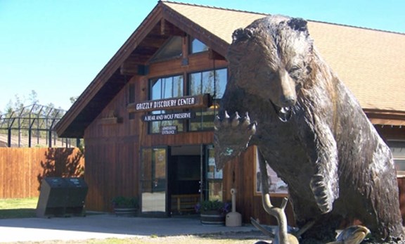 The Grizzly & Wolf Discovery Center