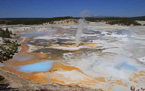 Norris Geyser Basin