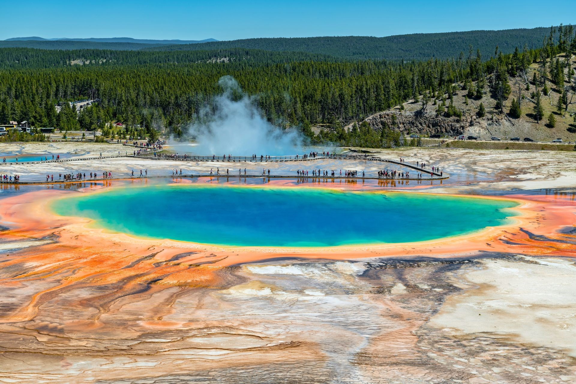 Koa yellowstone discount