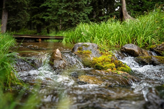 Plan a trip to Sugar City, Idaho