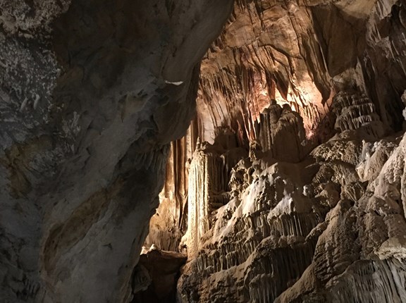 Lake Shasta Caverns Shasta Dam