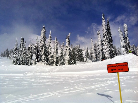Winter Activities