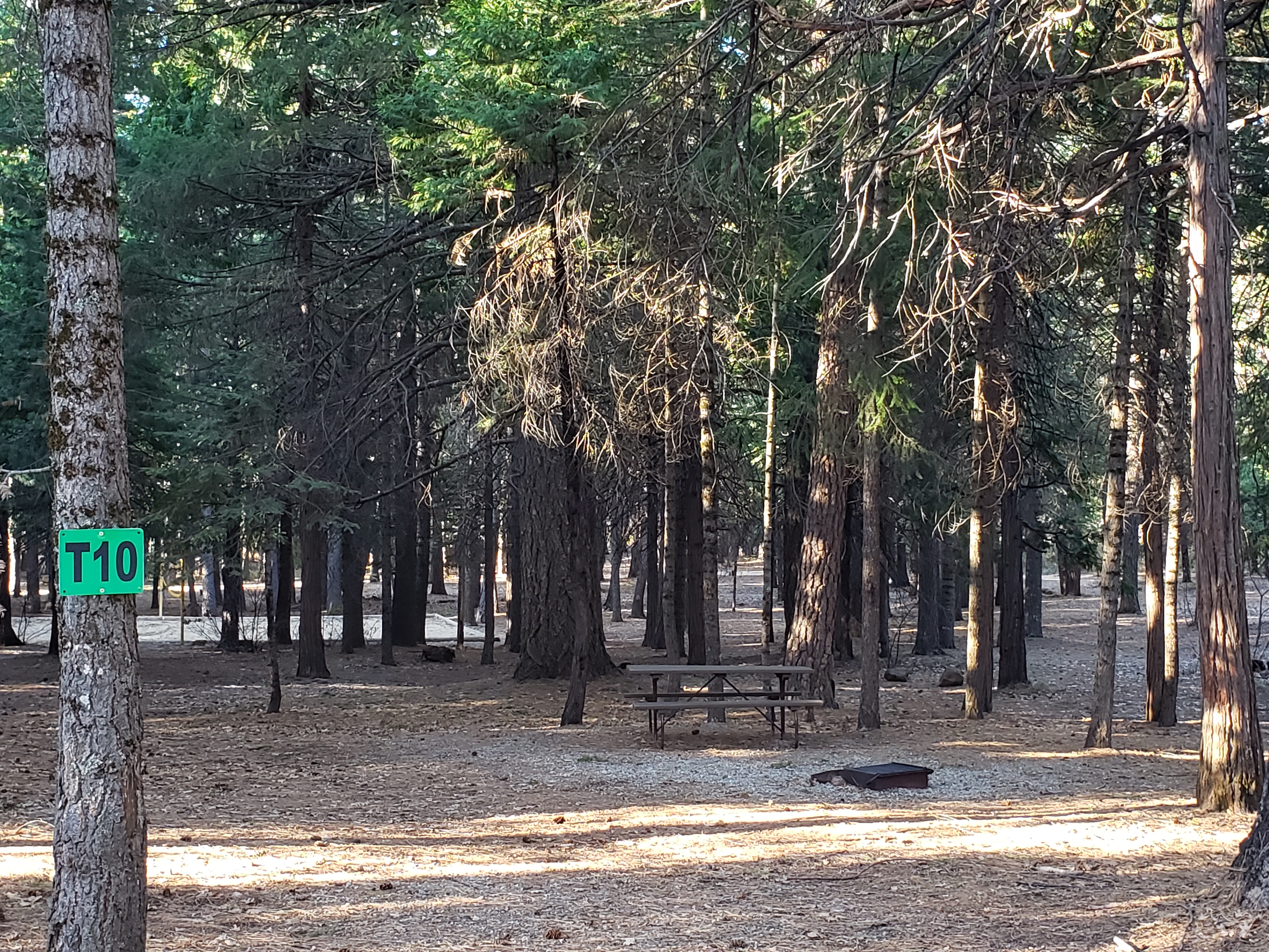 Tent site T10