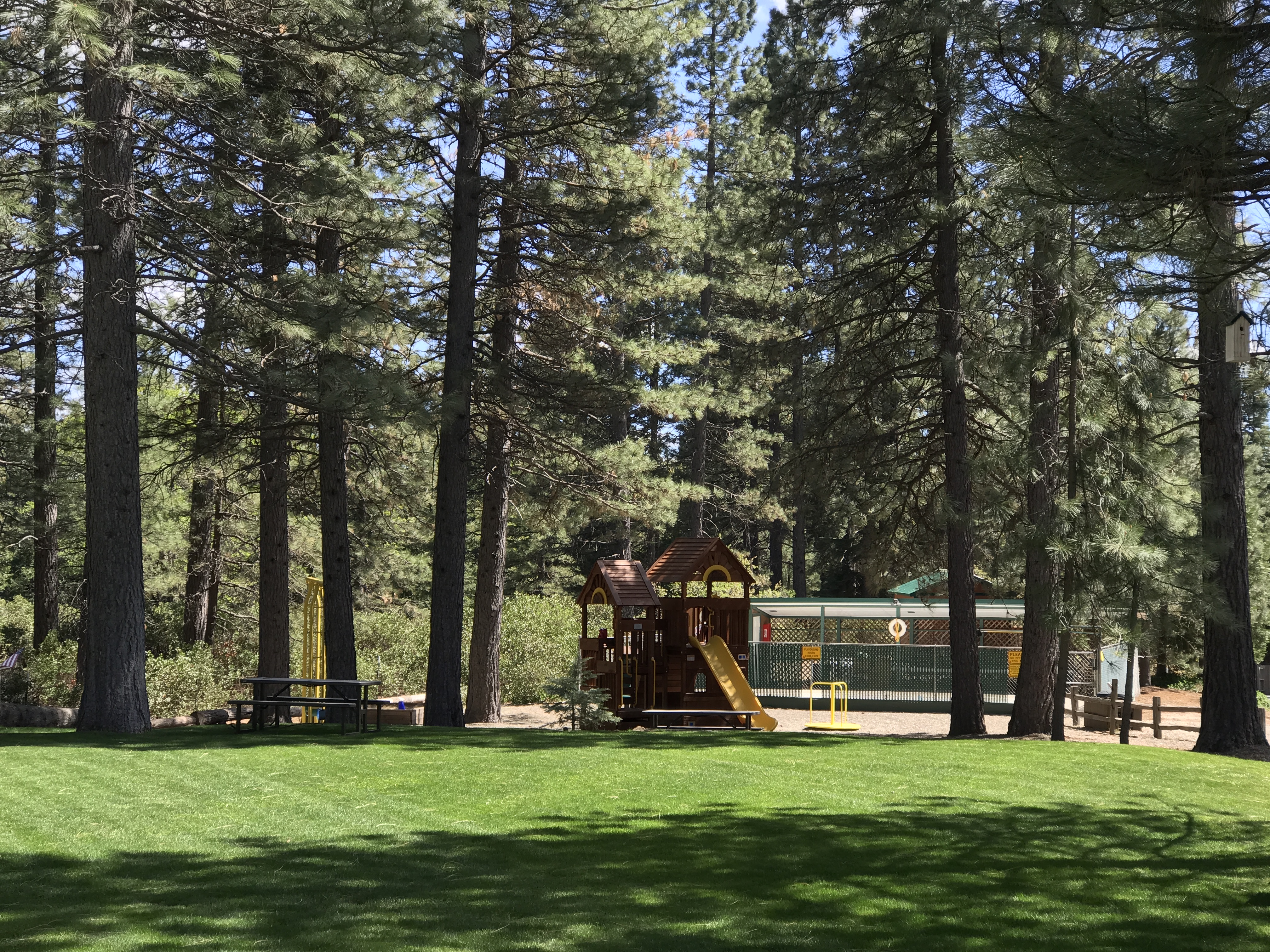 Mt. Lassen / Shingletown KOA Holiday - Photo 3