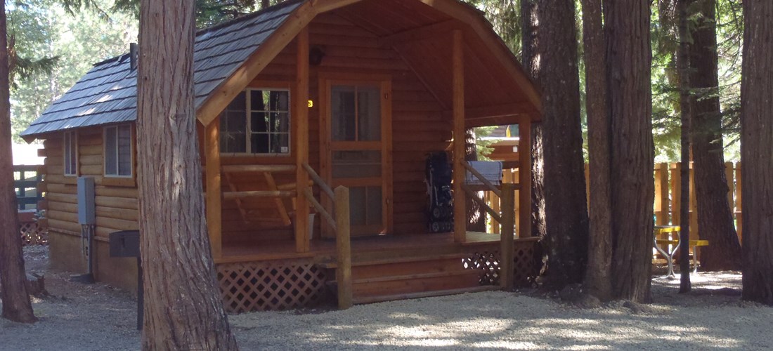 Mt Lassen Shingletown Koa