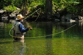 Fishing in the river