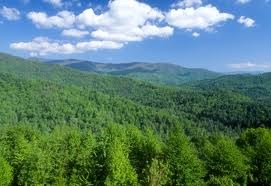 Nantahala National Forest