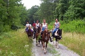 Horseback riding