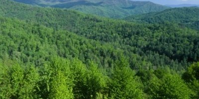 THE NANTAHALA NATIONAL FOREST
