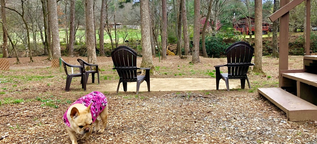 Deluxe Cabin #1 Patio