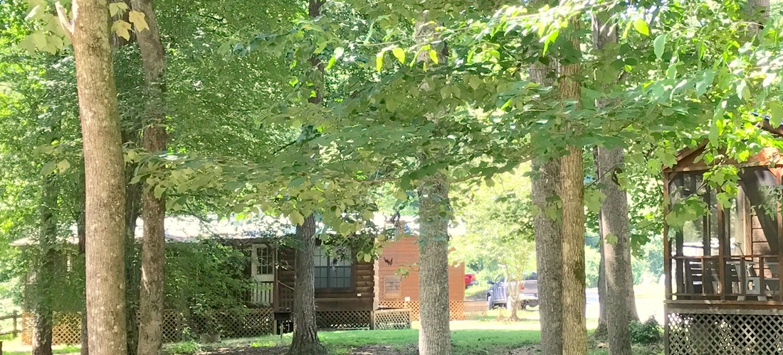 Deluxe Cabin