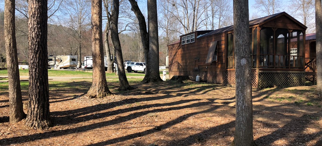 Deluxe Cabin and Woods