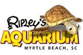 Ripley's Aquarium
