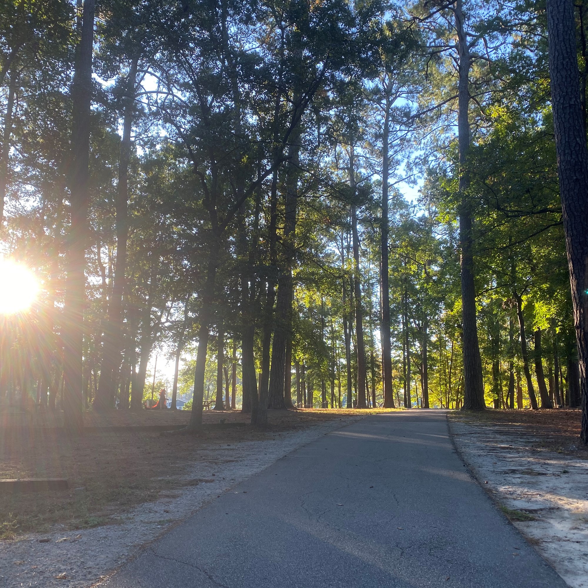 Myrtle Beach South Carolina Campground Myrtle Beach Koa