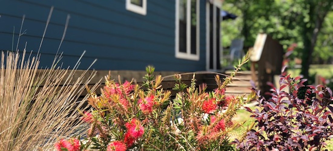 Deluxe Cabin Water Front (Flowers)