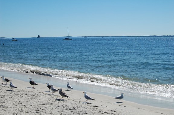 Ocean Beach Park