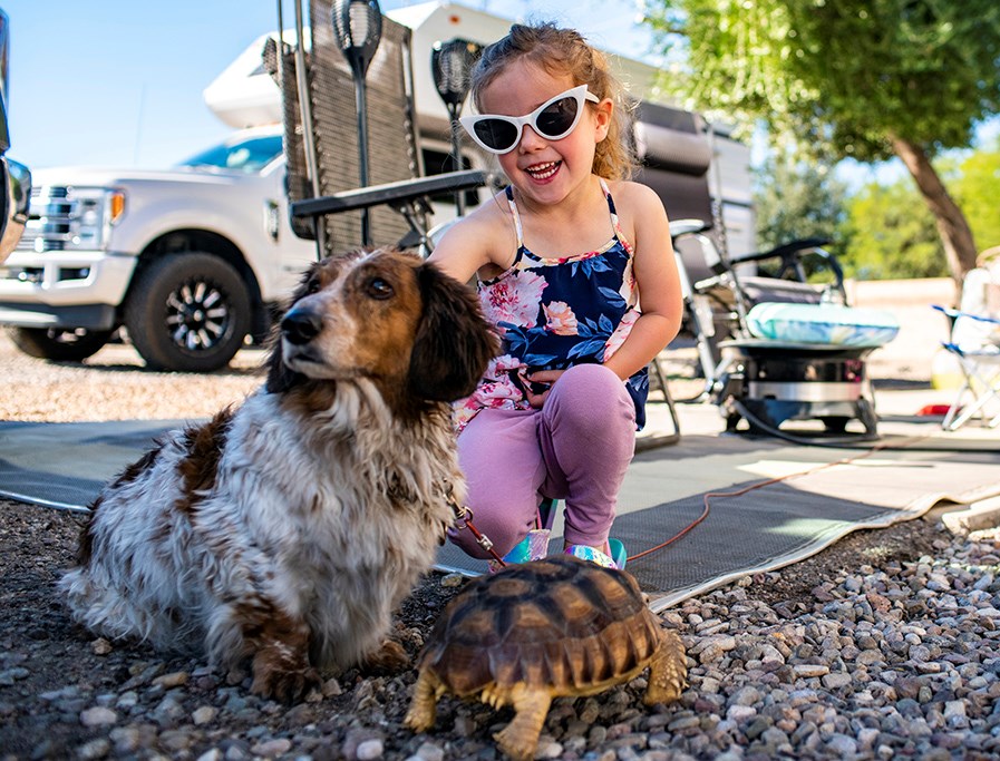TOP TIPS FOR CAMPING WITH YOUR PET