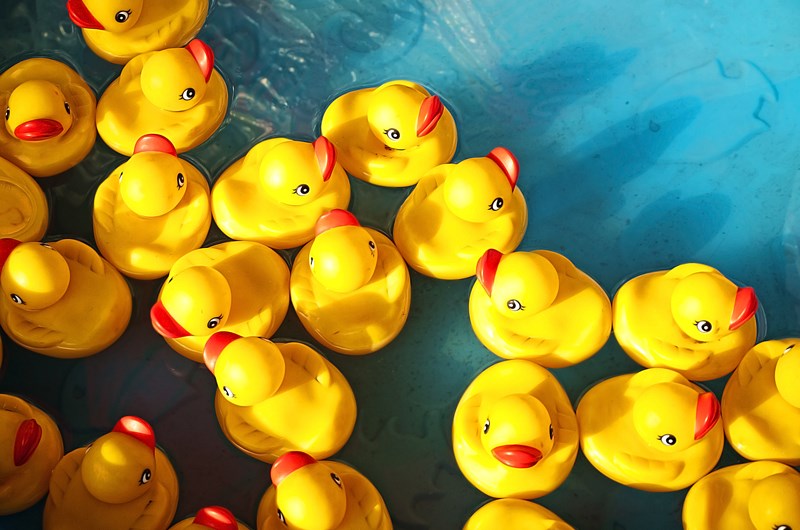 22nd Annual Pawcatuck River Duck Race Photo