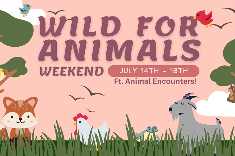Wild for Animals Photo