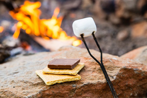 Crazy About S'mores Photo
