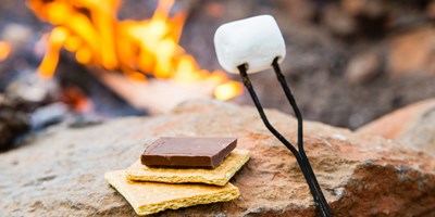 Crazy About S'mores