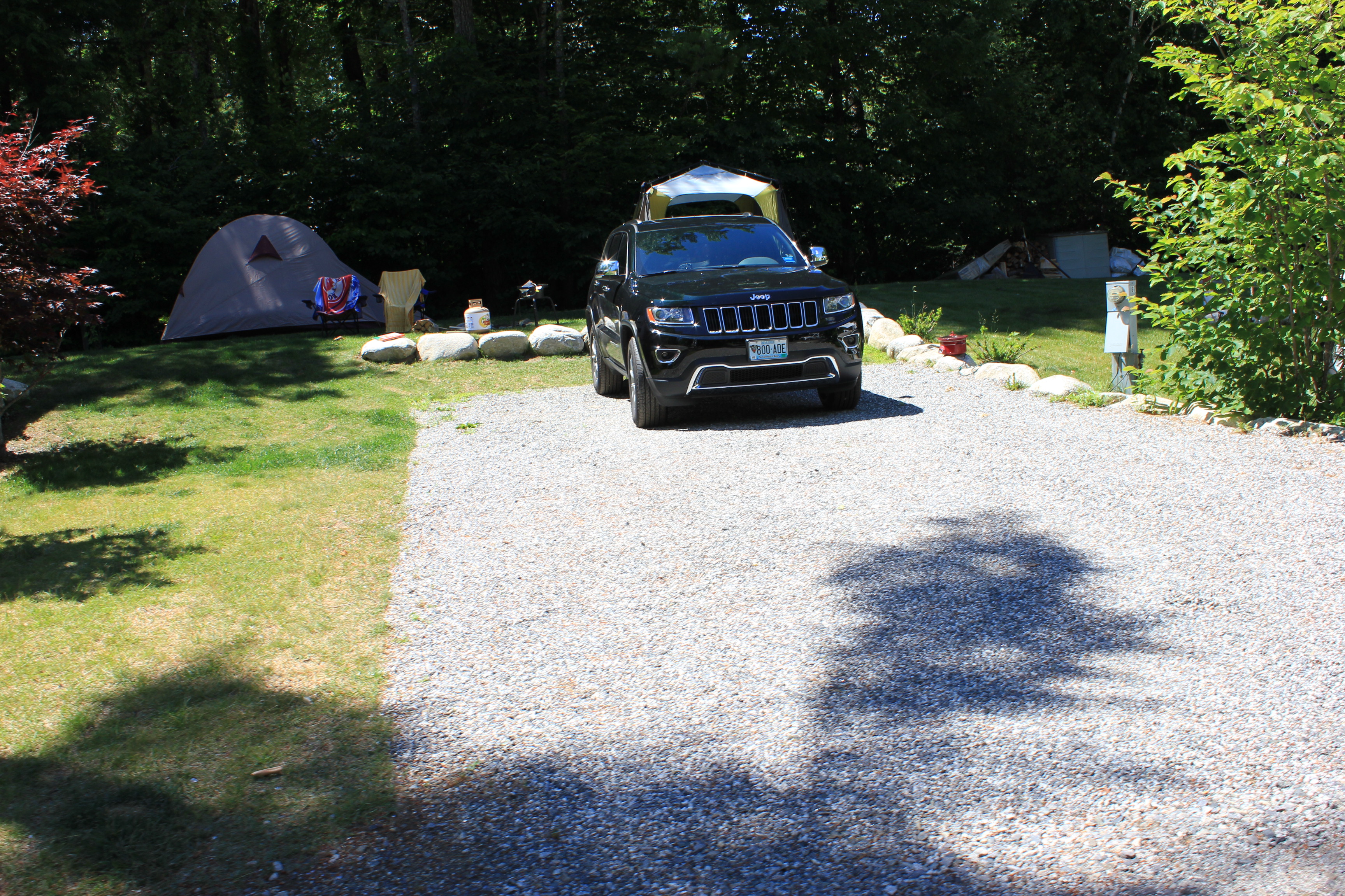 Site 309