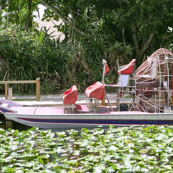 Everglades Excursion