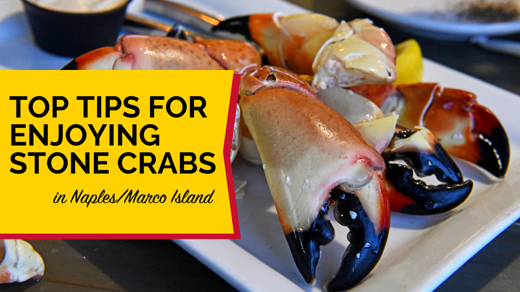 Top Tips for Enjoying Stone Crabs in Naples/Marco Island