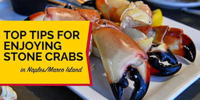 Top Tips for Enjoying Stone Crabs in Naples/Marco Island