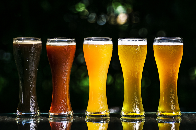 Naples Craft Beer Festival Event at the Naples / Marco Island KOA