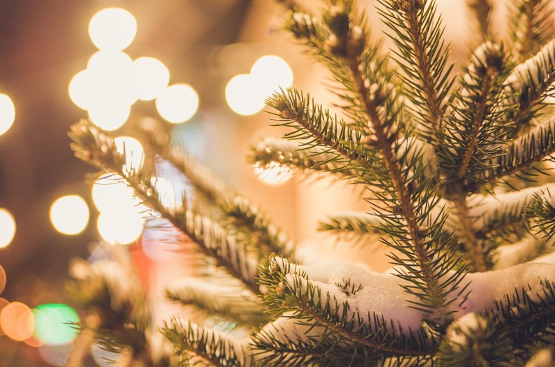 Christmas Walk and Tree Lighting Photo